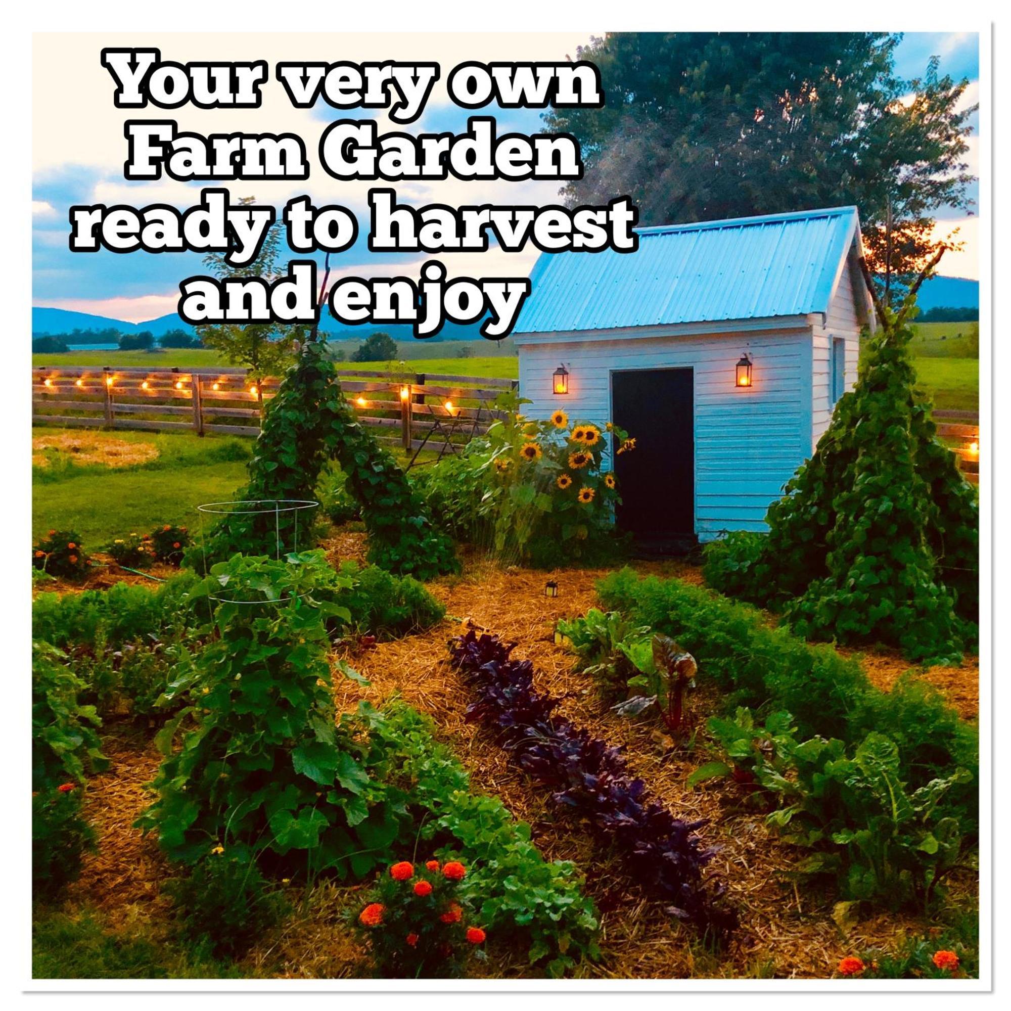 הוילה לוראיי Madeline Farms מראה חיצוני תמונה