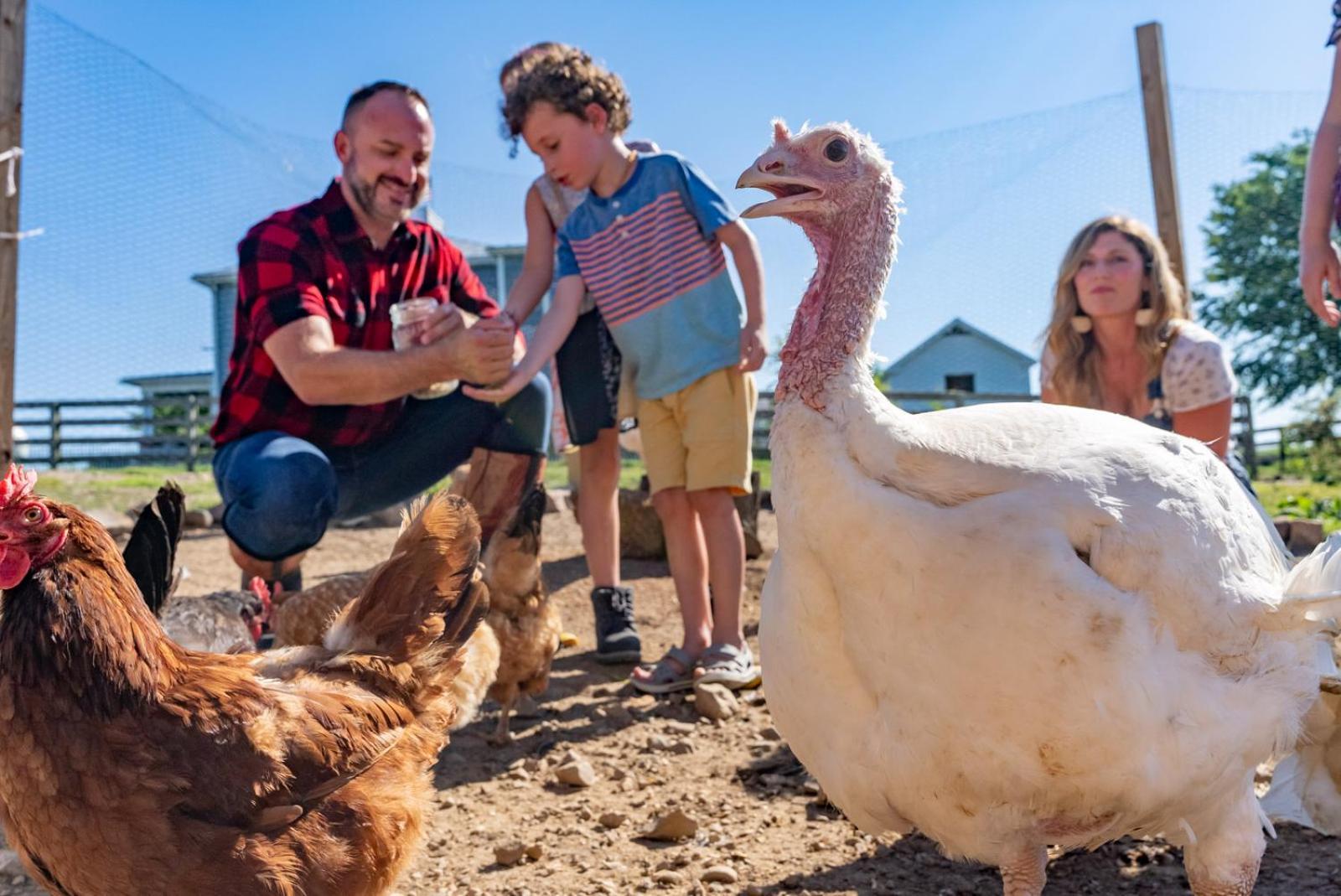 הוילה לוראיי Madeline Farms מראה חיצוני תמונה