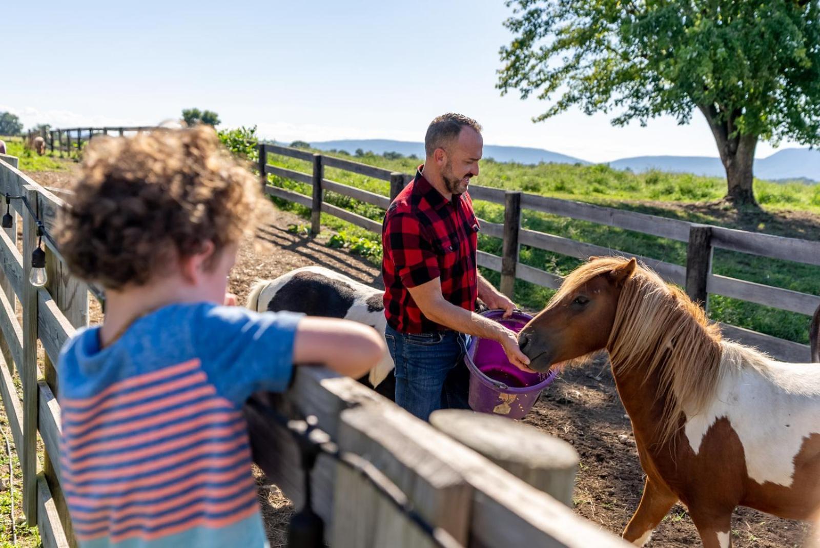 הוילה לוראיי Madeline Farms מראה חיצוני תמונה